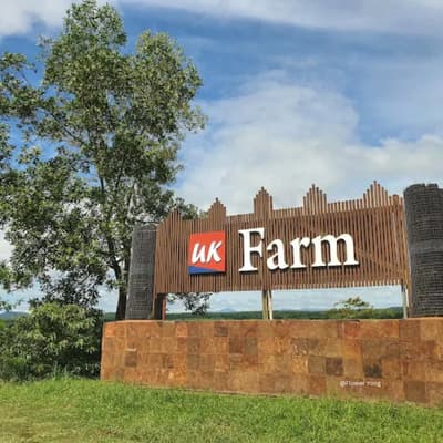 UK farm agro resort